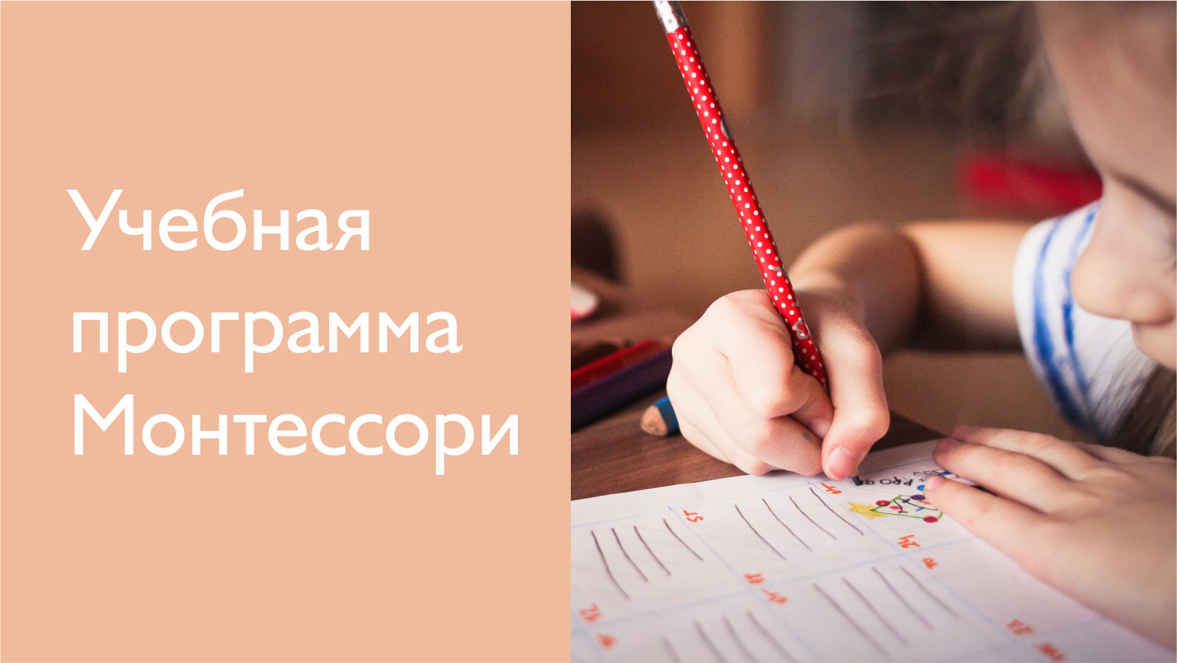 Система Монтессори — Учебная программа и описание