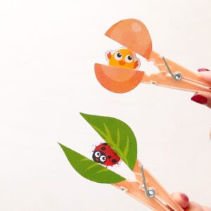 Шаблон «Кто внутри? / Что внутри?»