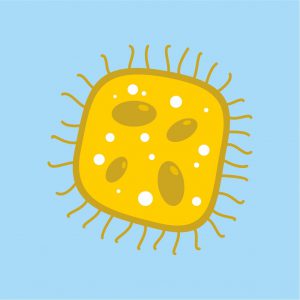 Интересные факты про вирусы и бактерии