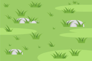 Почему трава зелёная?