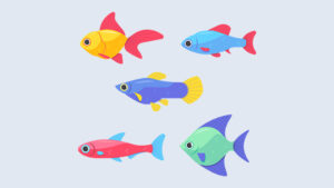 Загадки про рыб