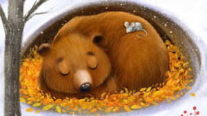 Почему медведи впадают в спячку?